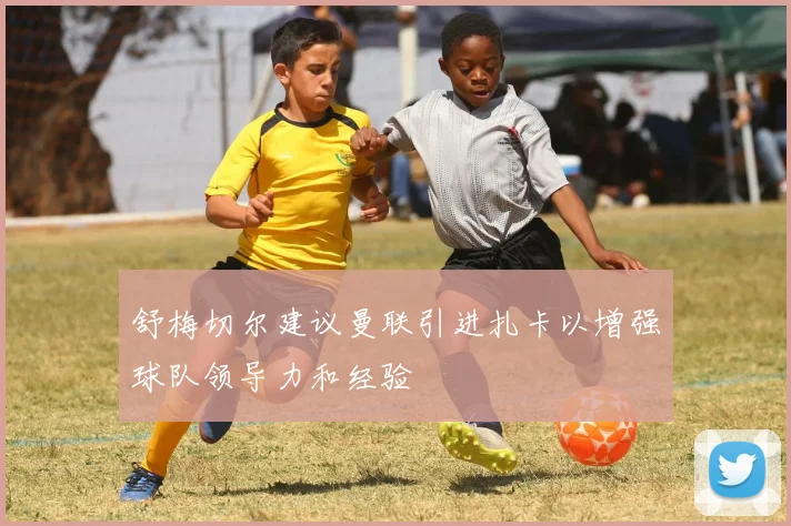 舒梅切尔建议曼联引进扎卡以增强球队领导力和经验