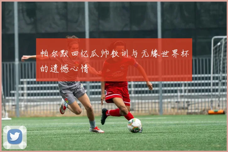 帕尔默回忆瓜帅教训与无缘世界杯的遗憾心情